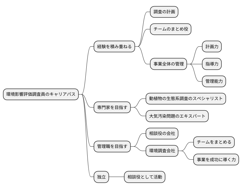 キャリアアップ