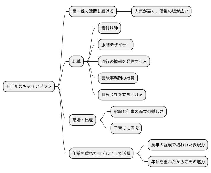 モデルのキャリアプラン