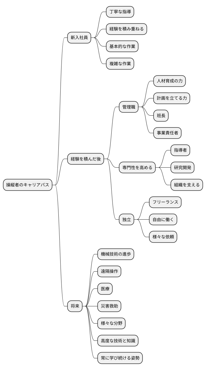 キャリアパス