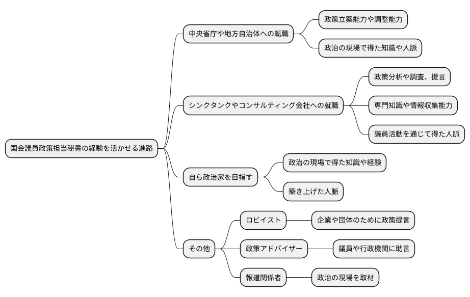 将来のキャリアパス