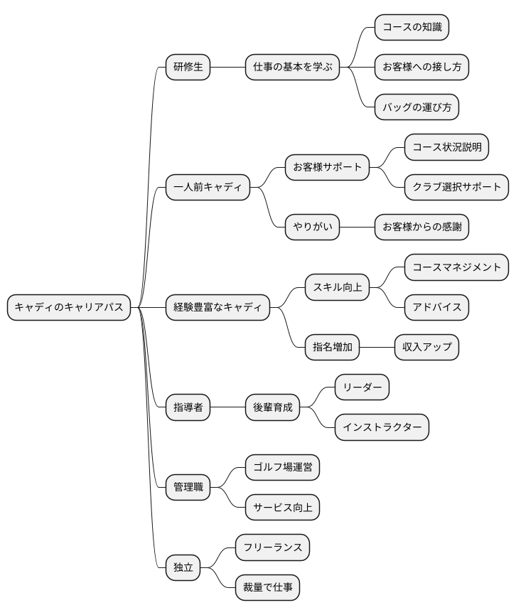 キャリアアップ