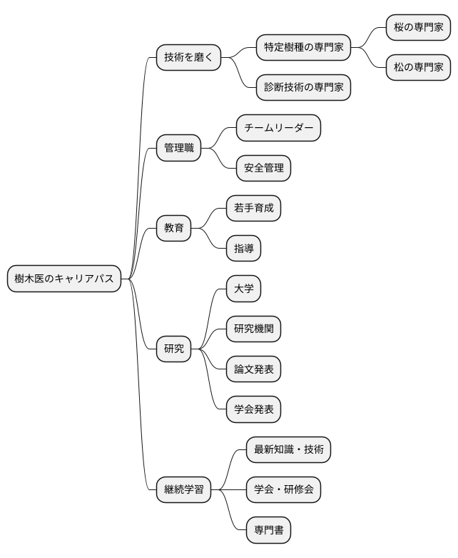 キャリアアップ