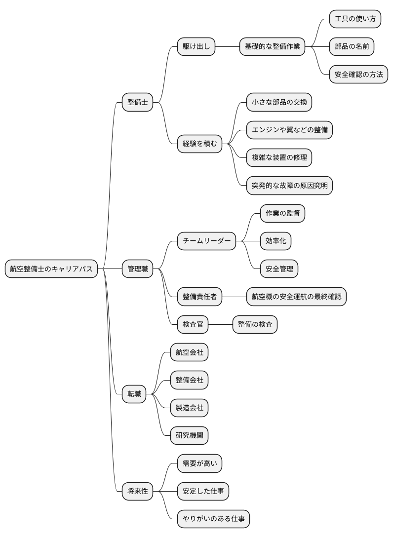 キャリアパスと将来性