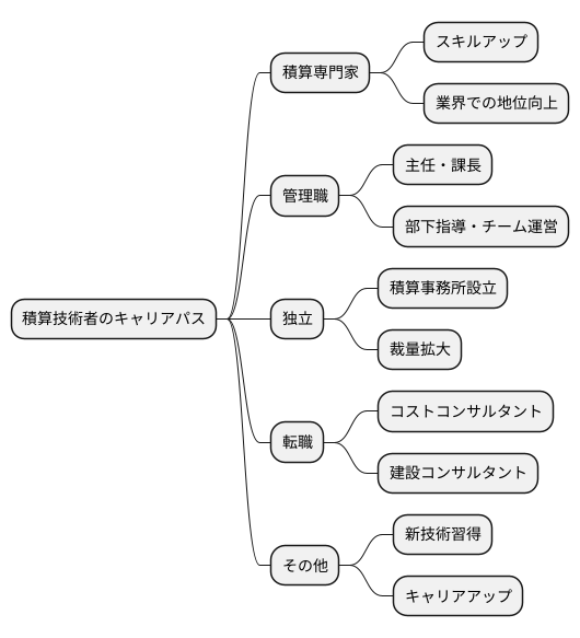 キャリアパスの概要