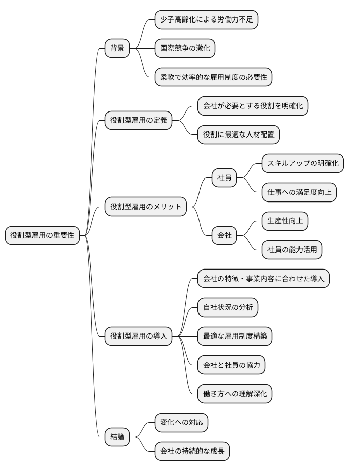 今後の展望