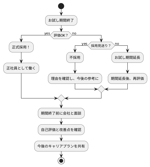 試用期間終了後の流れ